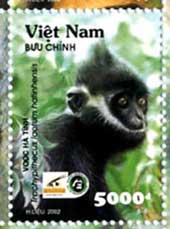Hatinh-Langur (Trachypithecus hatinhensis) - primata.de auf einer vietnamesischen Briefmarke