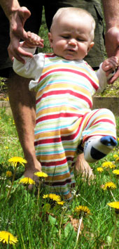 Menschenbaby (Homo sapiens) lernt den aufrechten Gang